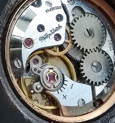 Orologio da polso PHILIP WATCH movimento meccanico a carica manuale, cassa in lacca e metallo dorato, fondo cassa trasparente. Svizzera, Anni 50/60