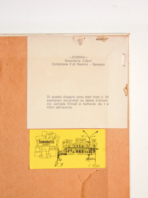 Serigrafia su alluminio firmata Gianmaria CIFERRI, Domina Numerata 24/24. Italia, Anni 70