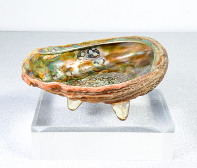 Coppia di sculture, svuotatasche di design ricavate da un paio di abaloni. Italia