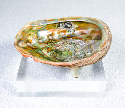 Coppia di sculture, svuotatasche di design ricavate da un paio di abaloni. Italia