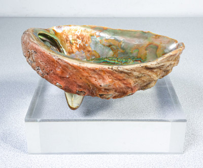 Coppia di sculture, svuotatasche di design ricavate da un paio di abaloni. Italia