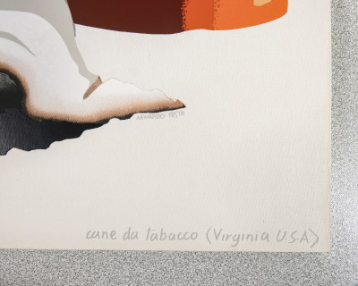 Serigrafia a sette colori su seta Armando TESTA Cane da tabacco (Virginia USA). Italia, Anni 70