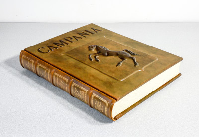 Volume da collezione LA CAMPANIA, Edizioni d'Italia - Editalia, a cura di Enrico de Giovanni e Michele Prisco, riccamente illustrato, con copertina in cuoio sblazato. Esemplare 389. Italia, 1985