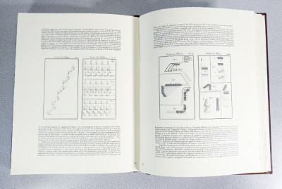 Volume da collezione I MEDICI e gli ASBURGO LORENA, Edizioni d'Italia - Editalia, a cura di Arrigo Pecchioli, riccamente illustrato, con copertina in cuoio sblazato. Esemplare 485/2499. Italia, 1991