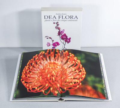 Libro da collezione DEA FLORA Piante e Fiori dei Cinque Continenti, 250 fotografie di Andrea JONES. Scripta Maneant. Bologna, 2008