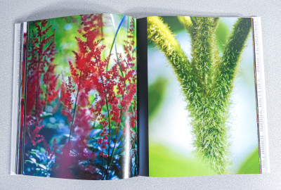 Libro da collezione DEA FLORA Piante e Fiori dei Cinque Continenti, 250 fotografie di Andrea JONES. Scripta Maneant. Bologna, 2008