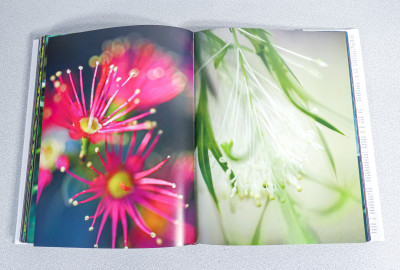 Libro da collezione DEA FLORA Piante e Fiori dei Cinque Continenti, 250 fotografie di Andrea JONES. Scripta Maneant. Bologna, 2008