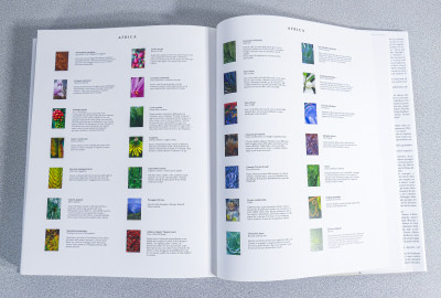 Libro da collezione DEA FLORA Piante e Fiori dei Cinque Continenti, 250 fotografie di Andrea JONES. Scripta Maneant. Bologna, 2008