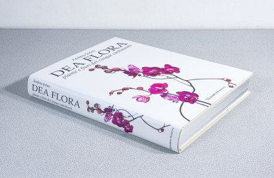 Libro da collezione DEA FLORA Piante e Fiori dei Cinque Continenti, 250 fotografie di Andrea JONES. Scripta Maneant. Bologna, 2008
