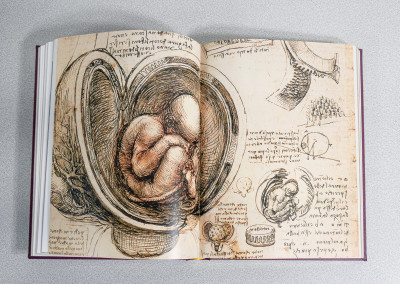 Libro da collezione LEONARDO Il Genio, edizione limitata e numerata 202/300, bassorilievo in bronzo. Scripta Maneant per Priuli & Verlucca. Italia, 2018