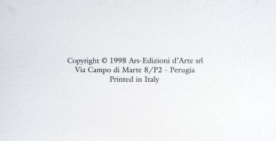 Libro da collezione ROCCHE, CASTELLI e ANTICHI MANIERI Piemonte, con formella di Ugo NESPOLO. Edizione limitata e numerata 674/999. ARS Edizioni d'Arte. Italia, 1998